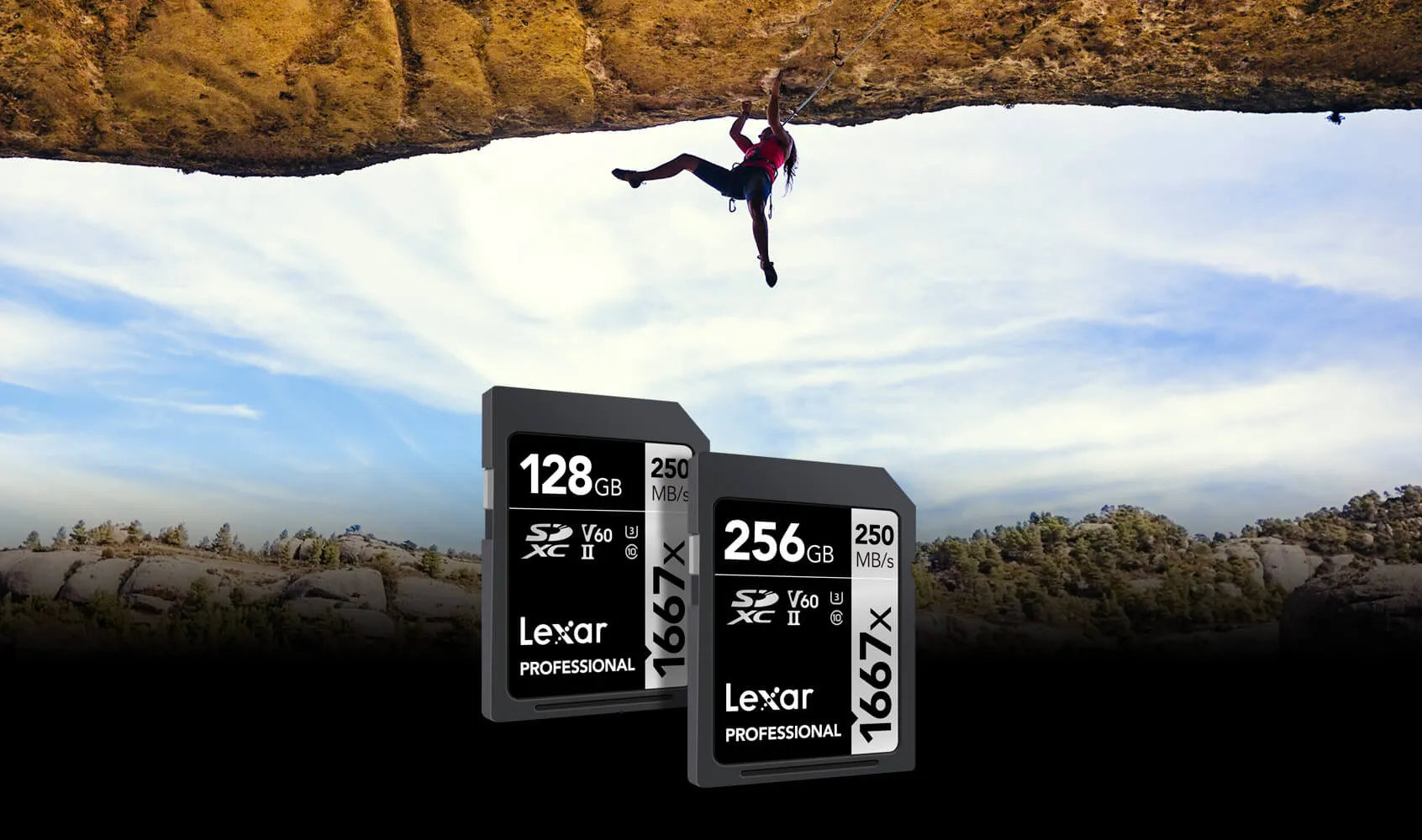 Karta pamięci Lexar Professional SDXC 64GB 1667X UHS-II (250 MB/s